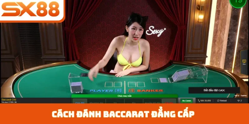 Cách đánh Baccarat đẳng cấp