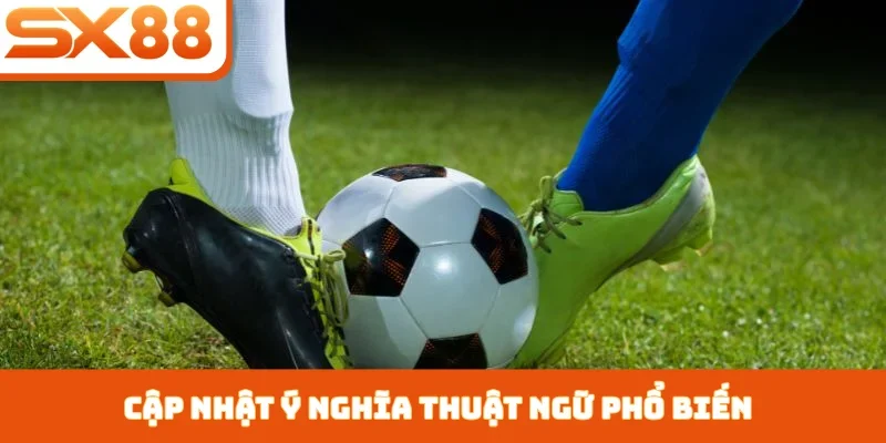 Cập nhật ý nghĩa thuật ngữ phổ biến