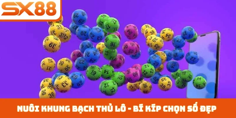 Nuôi khung bạch thủ lô