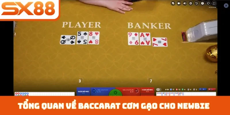 Cách đánh baccarat cơm gạo